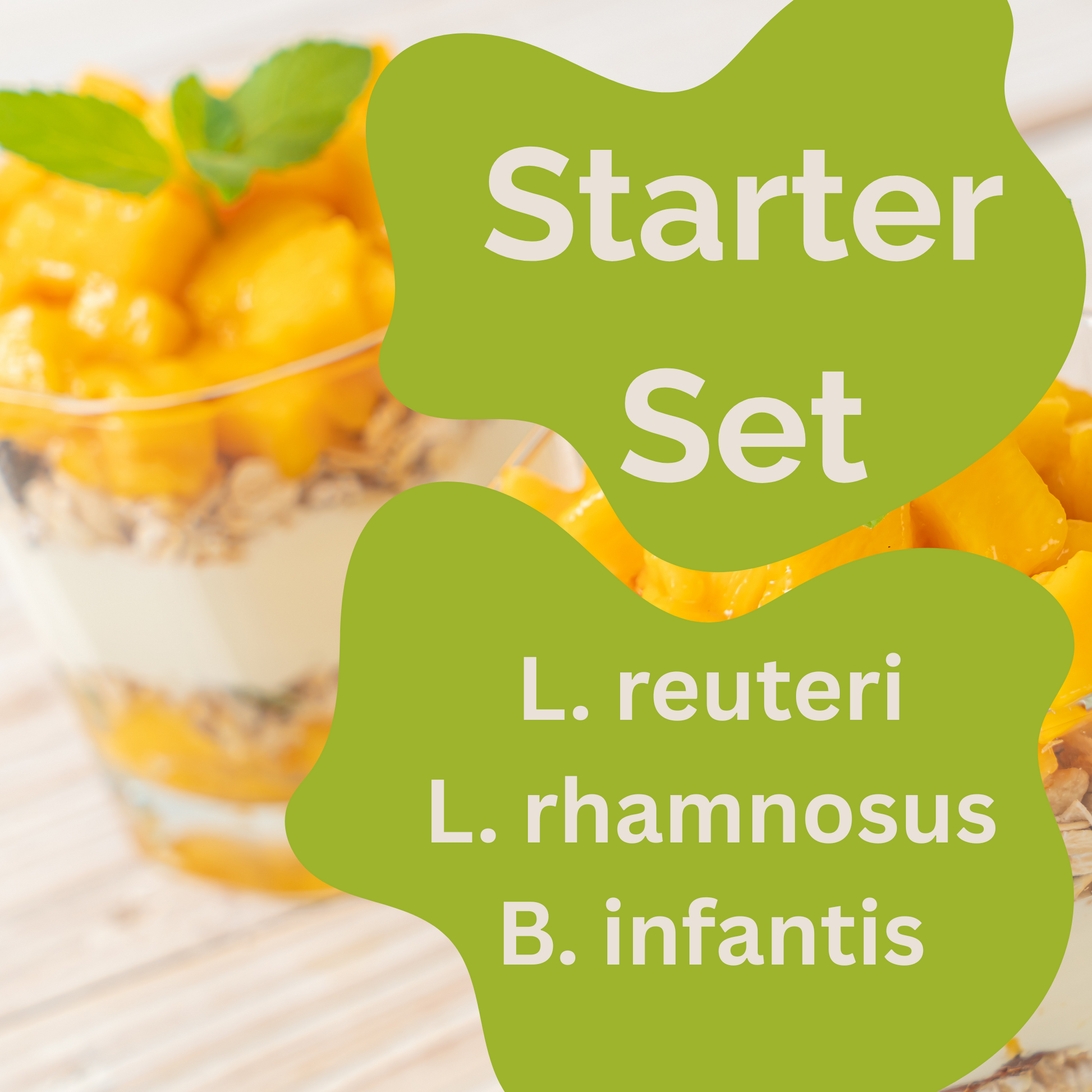 Starter-Set L. reuteri, L. rhamnosus, B. infantis-Joghurt